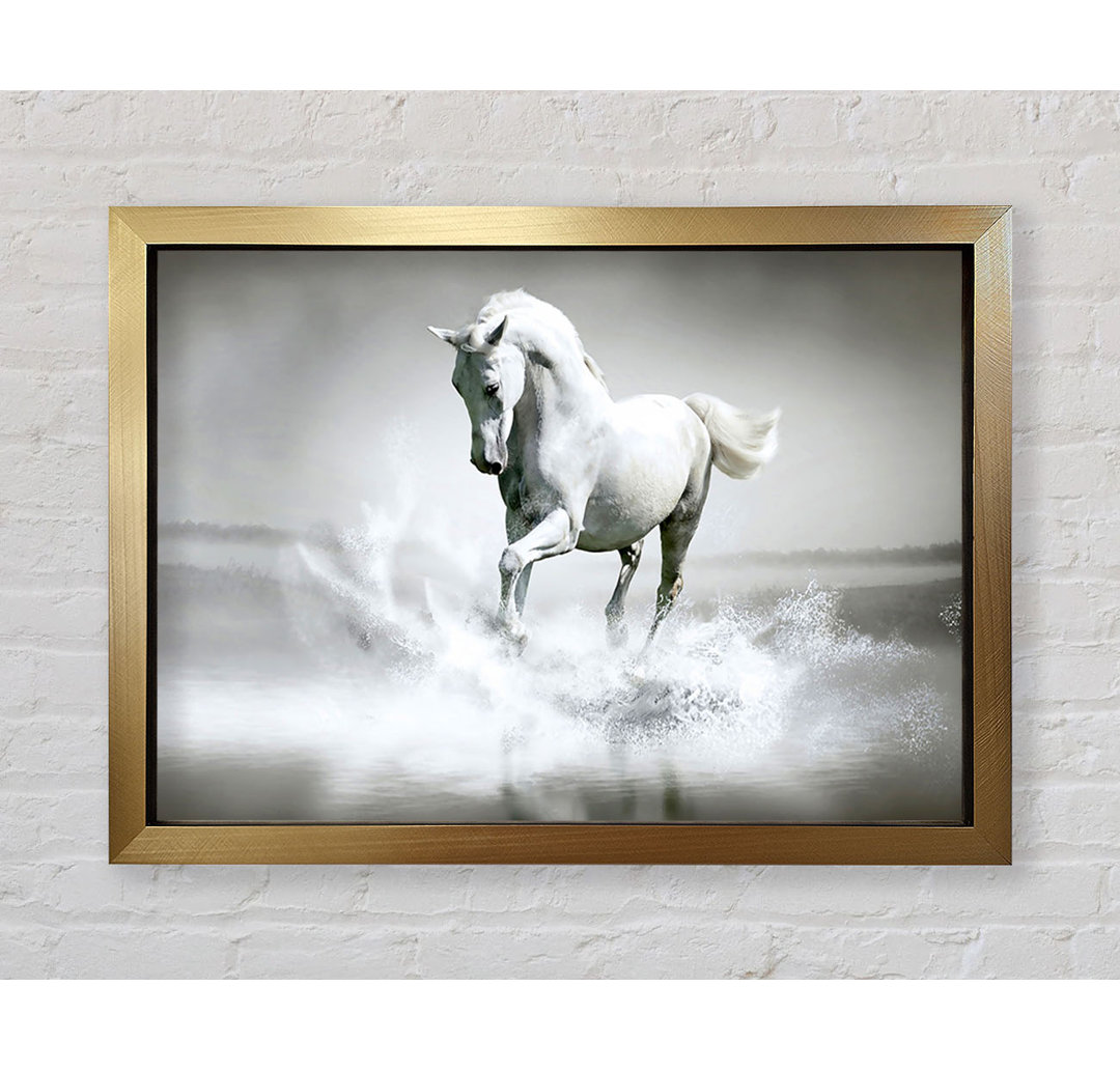 White Water Horse Gerahmter Druck