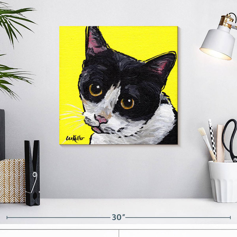 Chat chat, H 16 po x l 16 po