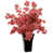 Rose est en rupture de stock