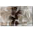 Toile tendue sélectionné