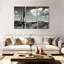 Harnek Saguaro Cactus Sunrise-107933142