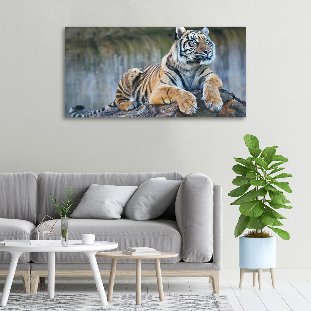 Tiger - Kunstdrucke auf Segeltuch