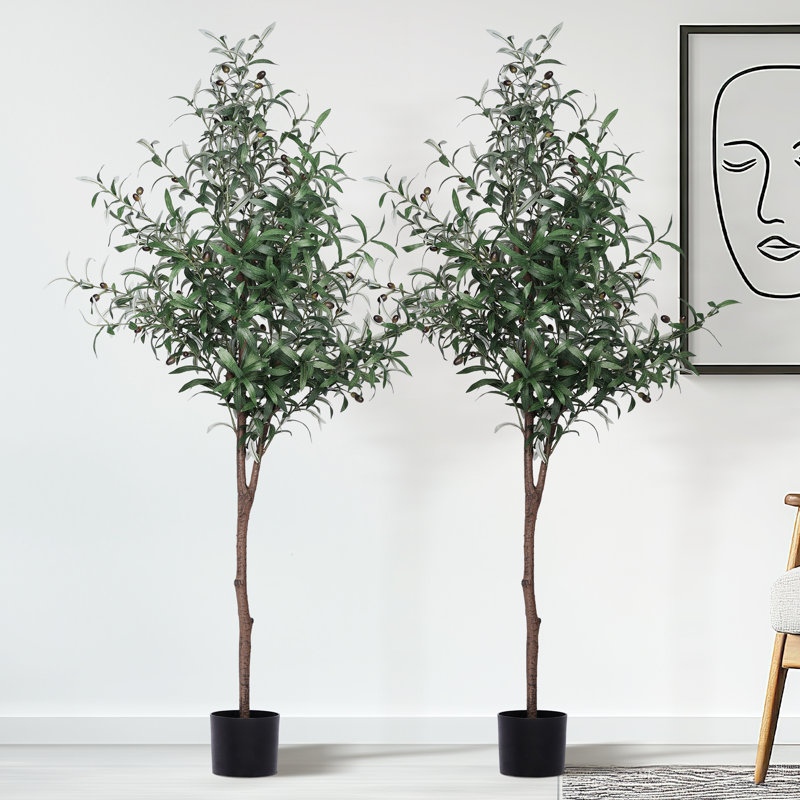 Faux Olive Tree Tree in Pot, 62" H x 23" W x 23" D