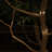 Garette Outdoor Solar String Lights Two 100 LED Strings of Warm White Fairy Twinkle Lights with 8 Modes for Patio, Yard, and Events by Pure Garden