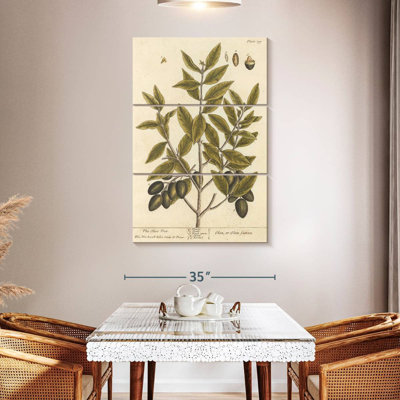 Keiri Olive Branch II