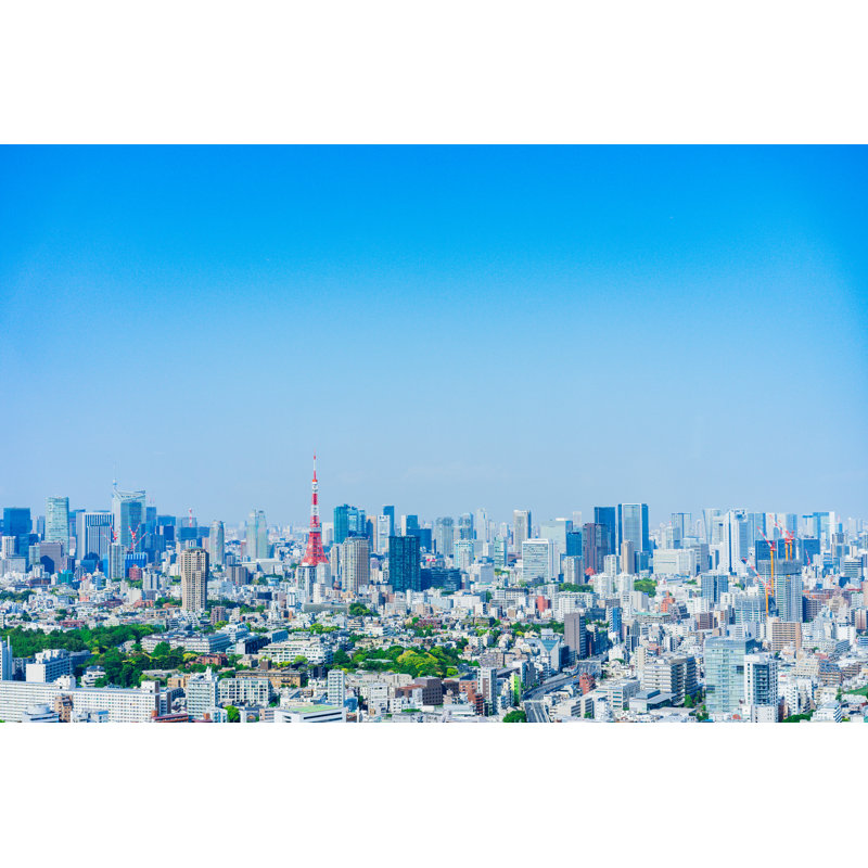 Nigel Tokyo View - Wrapped Canvas Print, 81cm H x 122cm W x 3.8cm D