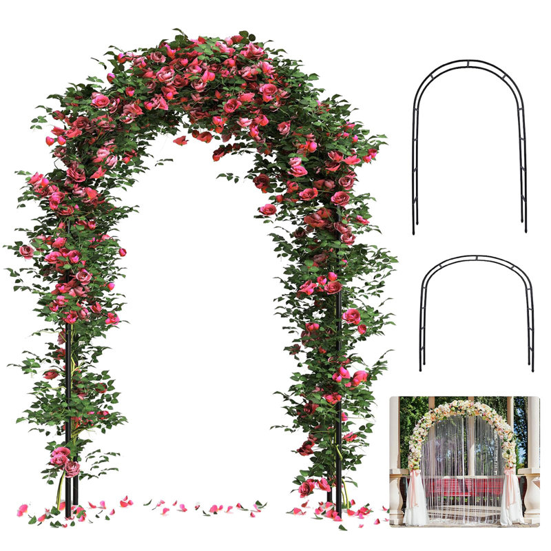 Arche de mariage antirouille