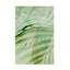 Art sur toile «Rouleau Incado sauge palmier»-105644901