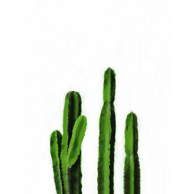Trois cactus - reproduction sur toile tendue