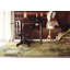 Inhabit Designer Lime Area Rug-2023935399