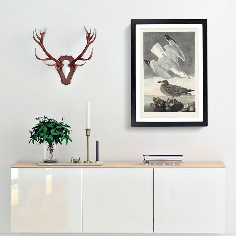 Herring Gulls by John Audubon - Framed Print, 36cm H x 27cm W x 2cm D, Black Framed