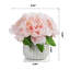 Arrangements floraux d'hortensias en pot-76145646