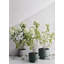 Pot à fleurs en plastique recyclé-129012108-129012106