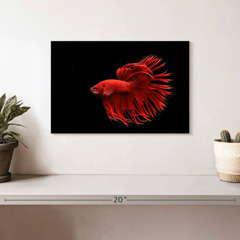 Grandiose Red Betta Fish, 8" H x 12" W