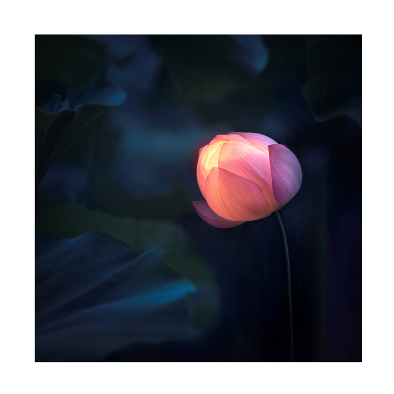 Glow In Dark par Catherine W., H 14 po x l 14 po x P 2 po