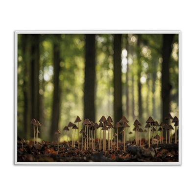 Champignon dans une forêt, estampe numérique encadrée par Martin Podt