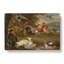 Chickens and Ducks by Melchior D'Hondecoeter - Wrapped Canvas-61850998