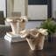 Bol d'extérieur en teck blanc Uttermost Flow
