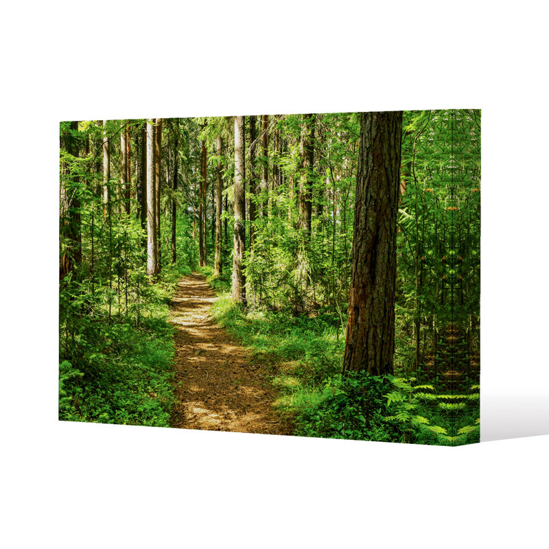 No Title by Andrew Lee - Wrapped Canvas Print, 31cm H x 46cm W x 4cm D