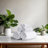 Otley 6 Piece Turkish Cotton Towel Set