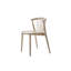 Newood Solid Wood Dining Chair-843247231