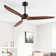 Antinisha 60" Solid Wood 3-Blade Propeller LED Ceiling Fan with Light Kit and Remote Control