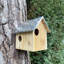 Izaguirre Mounted Squirrel House