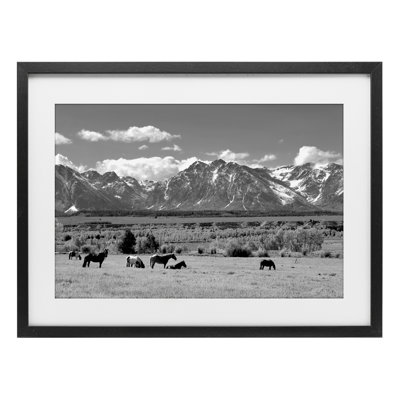 Wyoming Ranch Horses, pâture encadrée sous verre, conception par Steve Toole