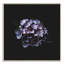 Print on Canvas-31352025-31352032