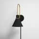 Alston Single Light Iron Dimmable Barn Light