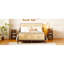 Janyce Piece Bedroom Set-1685518240