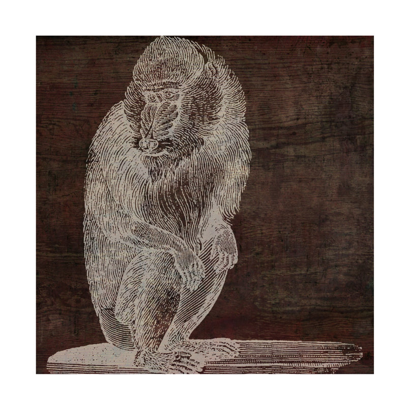 Sasha Monkey Canvas Art_ALI73143, 14" H x 14" W