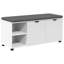 Storage Bench-1993808447