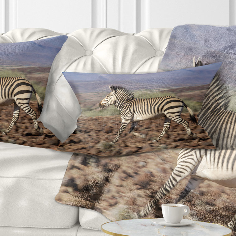 Coussin Schafer Landscape Zebra in Damaraland