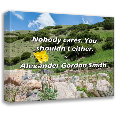 Alexander Gordon Smith Quote: Nobody cares. You shouldn’t either.