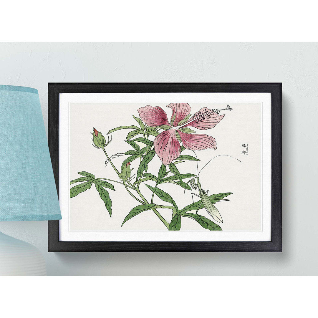 Praying Mantis & Pink Flower by Morimoto Toko - Framed Print