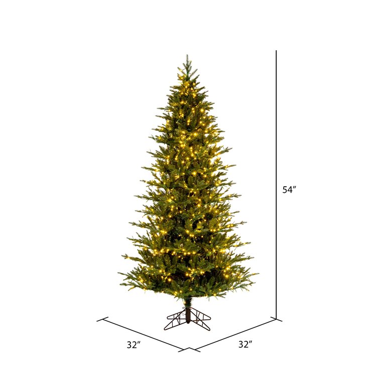 Vickerman 54'' Lighted Fir Christmas Tree | Wayfair