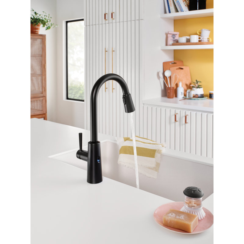 Robinet de cuisine MOE Riley, Noir