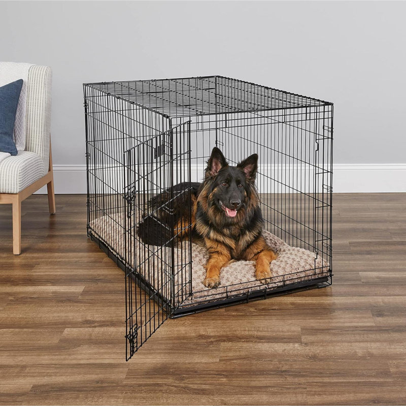 Cage pour chien nouvellement améliorée avec porte simple en Icrate, comprenant un plateau étanche, des pieds de protection du plancher, un panneau de séparation et de nouvelles caractéristiques brevetées