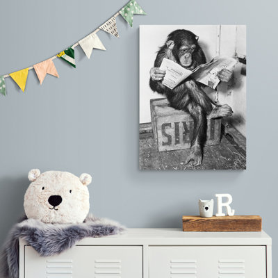 Chimpanzee Reading Newspaper - Wrapped Canvas Print