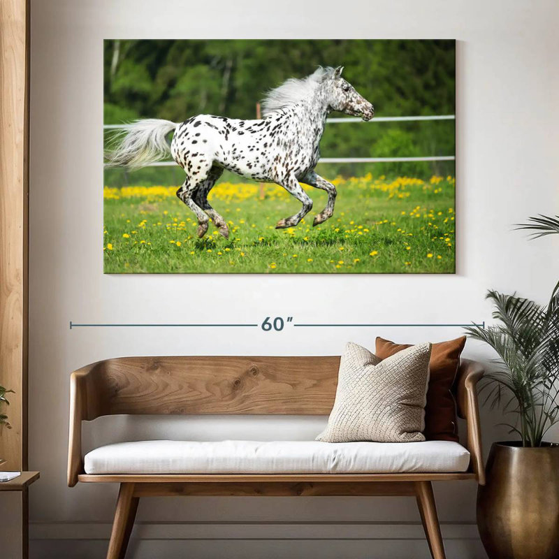 Crowle Appaloosa Horse, 34" H x 51" W