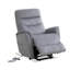 Fauteuil inclinable électrique lève-personne de 31,5 po avec port USB Akeelah-98419947