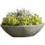 Estancia Planter-823240929