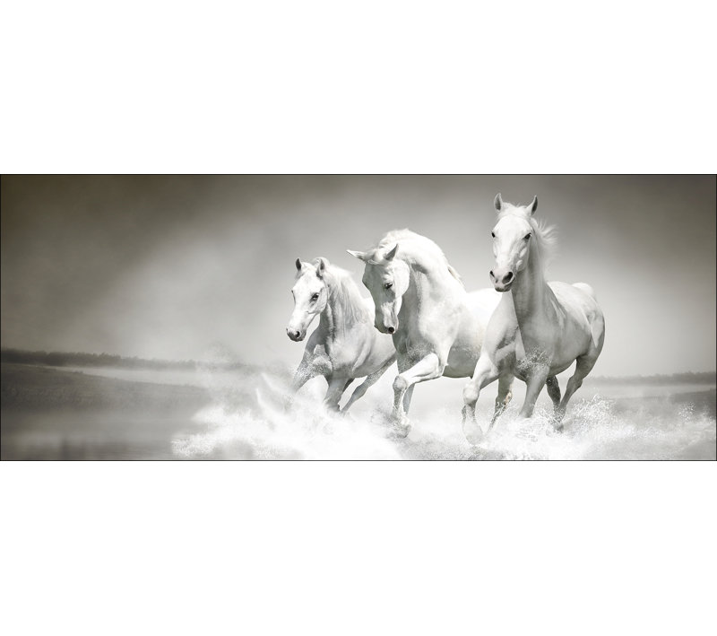 No Frame Painting on Glass, 50 cm H x 125 cm W x 1.4cm D
