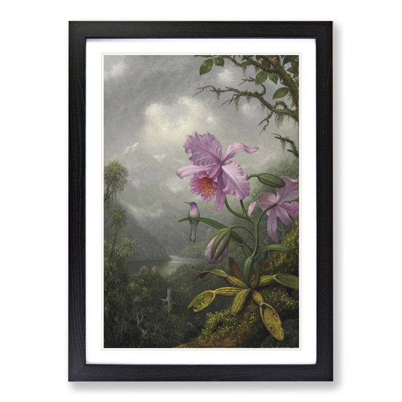 Hummingbird on the Orchid Plant by Martin Johnson Heade - Picture Frame Painting, Black Framed, 48cm H x 36cm W x 2cm D