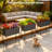Elevated Metal Planter Box, Double-layer, with wheels