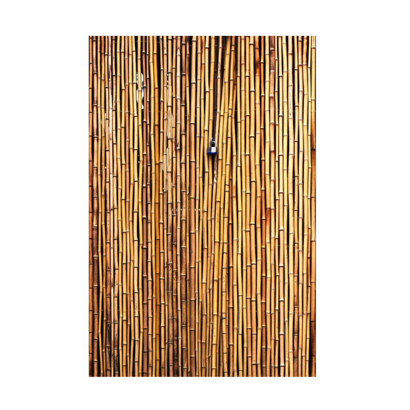 Jian Wang The Locked Door Canvas Art, H 19 po x l 12 po