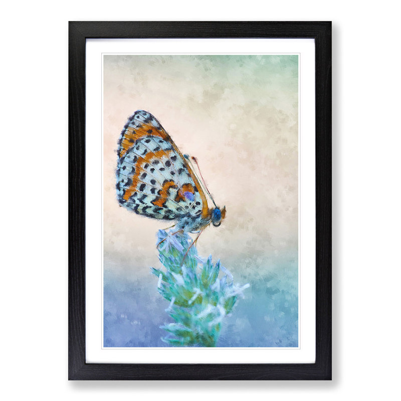 Butterfly Perched upon a Flower - Picture Frame Graphic Art Print, 33cm H x 24cm W x 2cm D, Black Framed