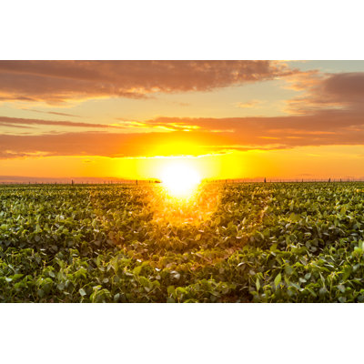 Magnifique lever de soleil dans la campagne - Photographie sur toile tendue
