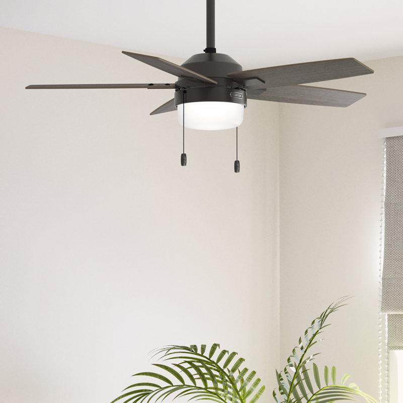 Hunter 44 inch Anisten Ceiling Fan with LED Light Kit and Pull Chain